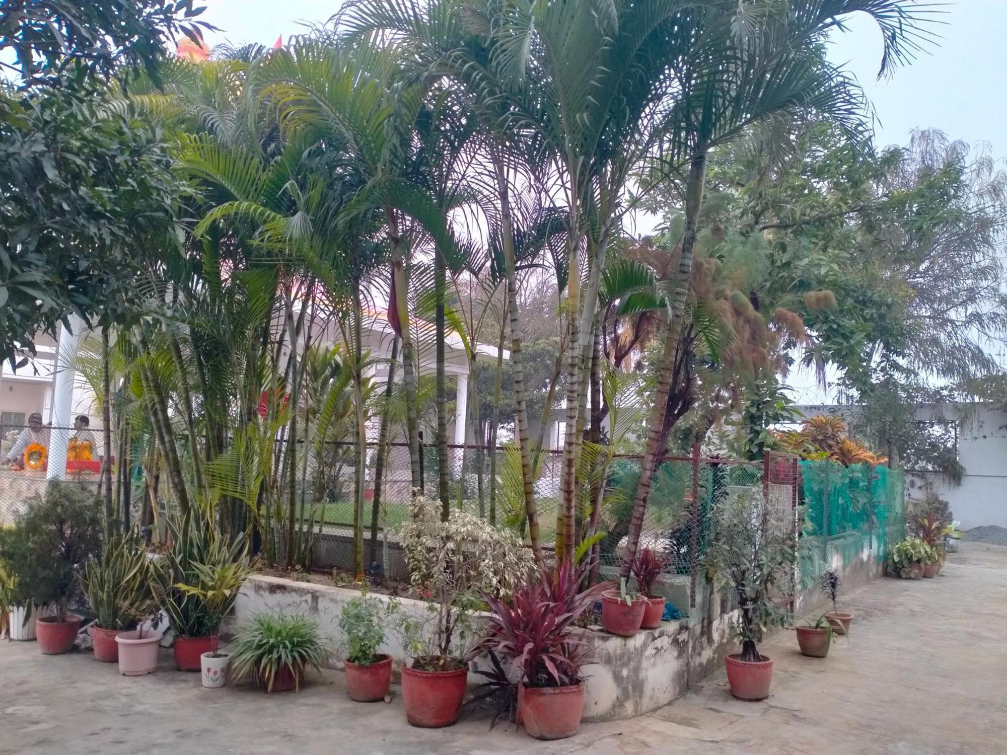 Vedic Villa Varanasi Exteriör bild