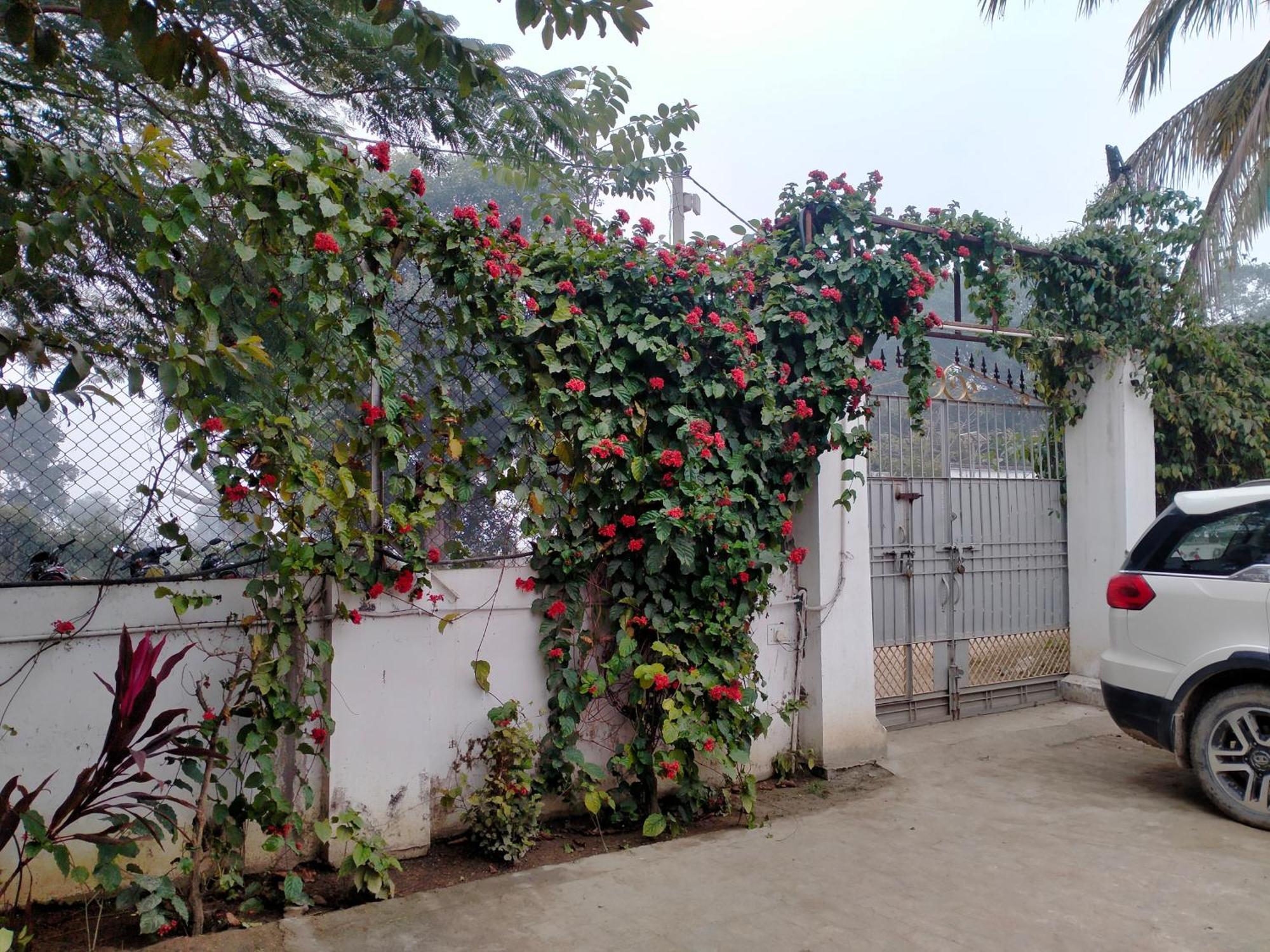 Vedic Villa Varanasi Exteriör bild